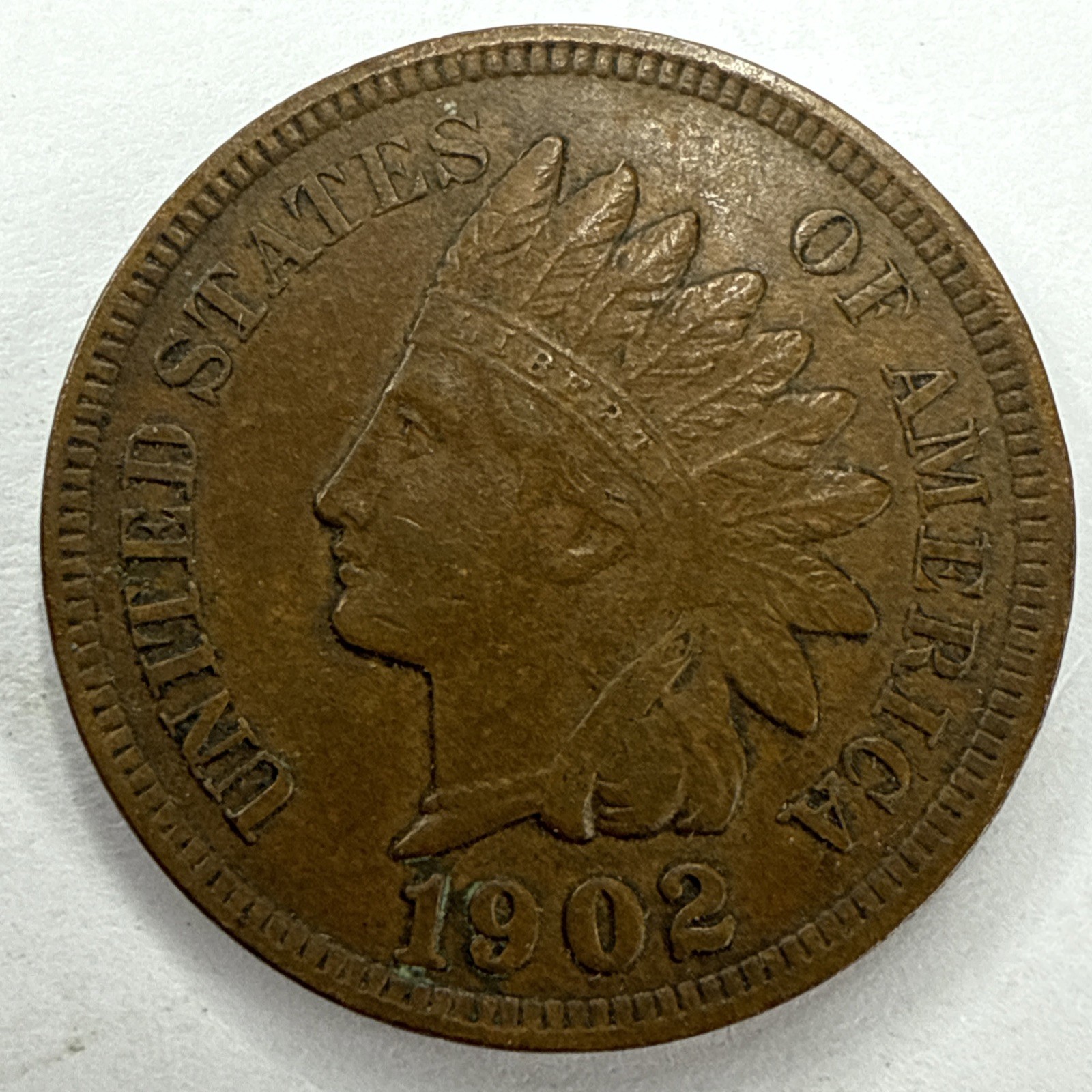 1902 Indian Head Cent Exact Coin Imaged #IND2065