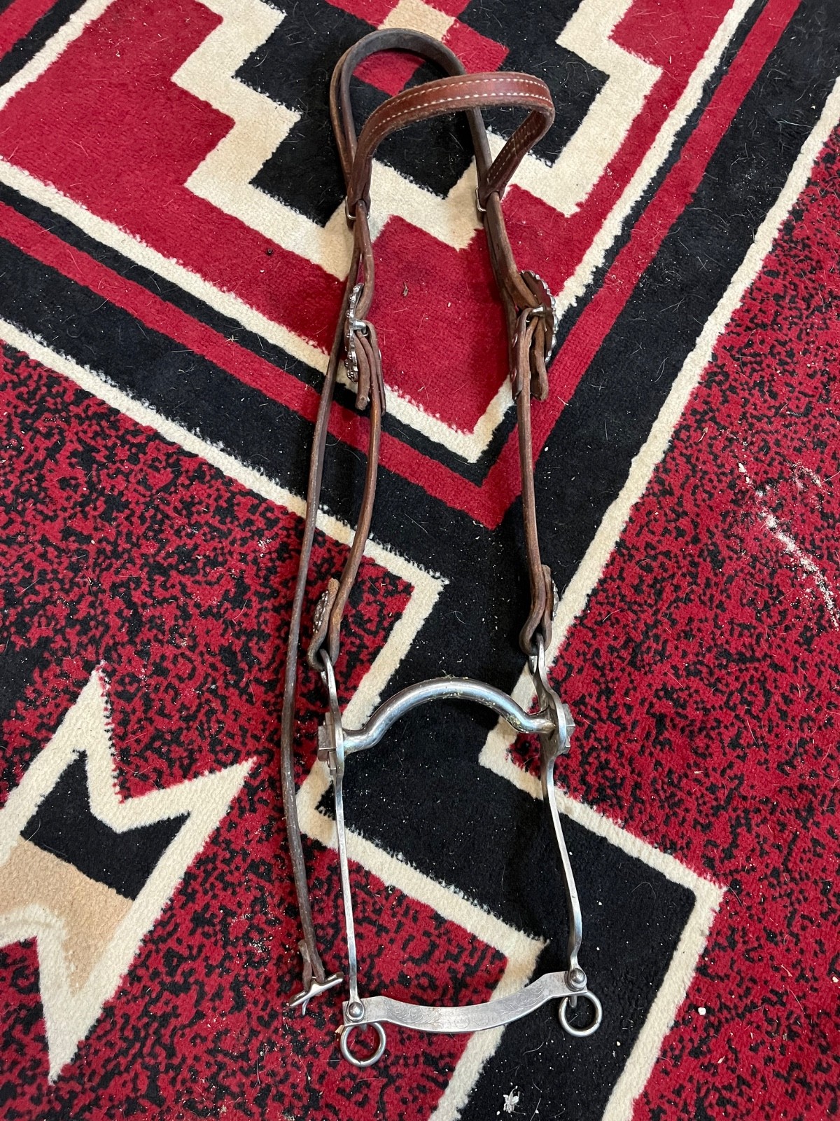 Sliester sweet water bit with bridle