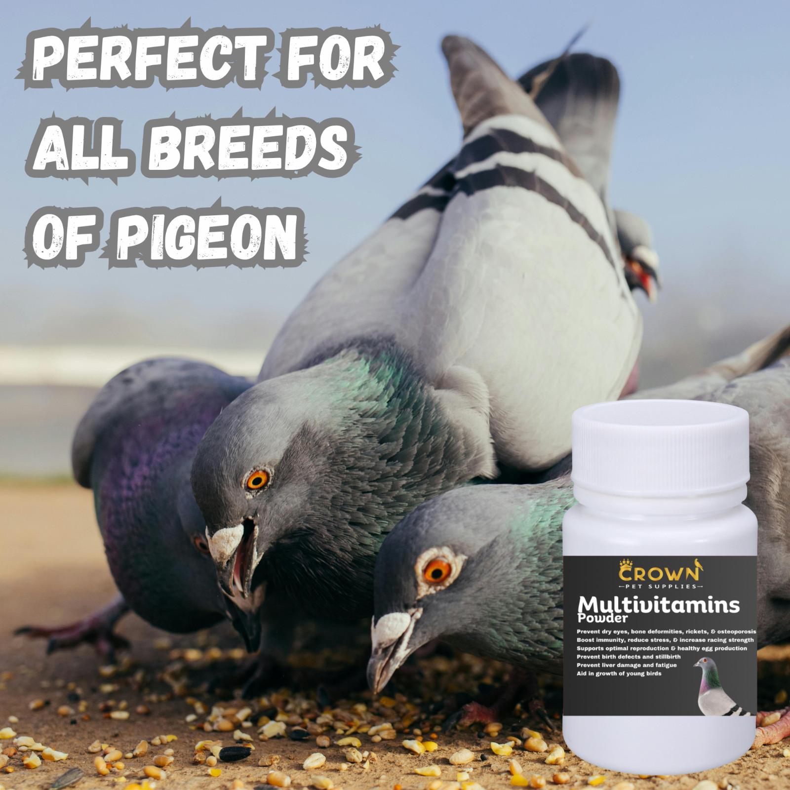 Multivitamins, Growth & Immunity, Prevent Eggs Failure, Strength For Pigeons