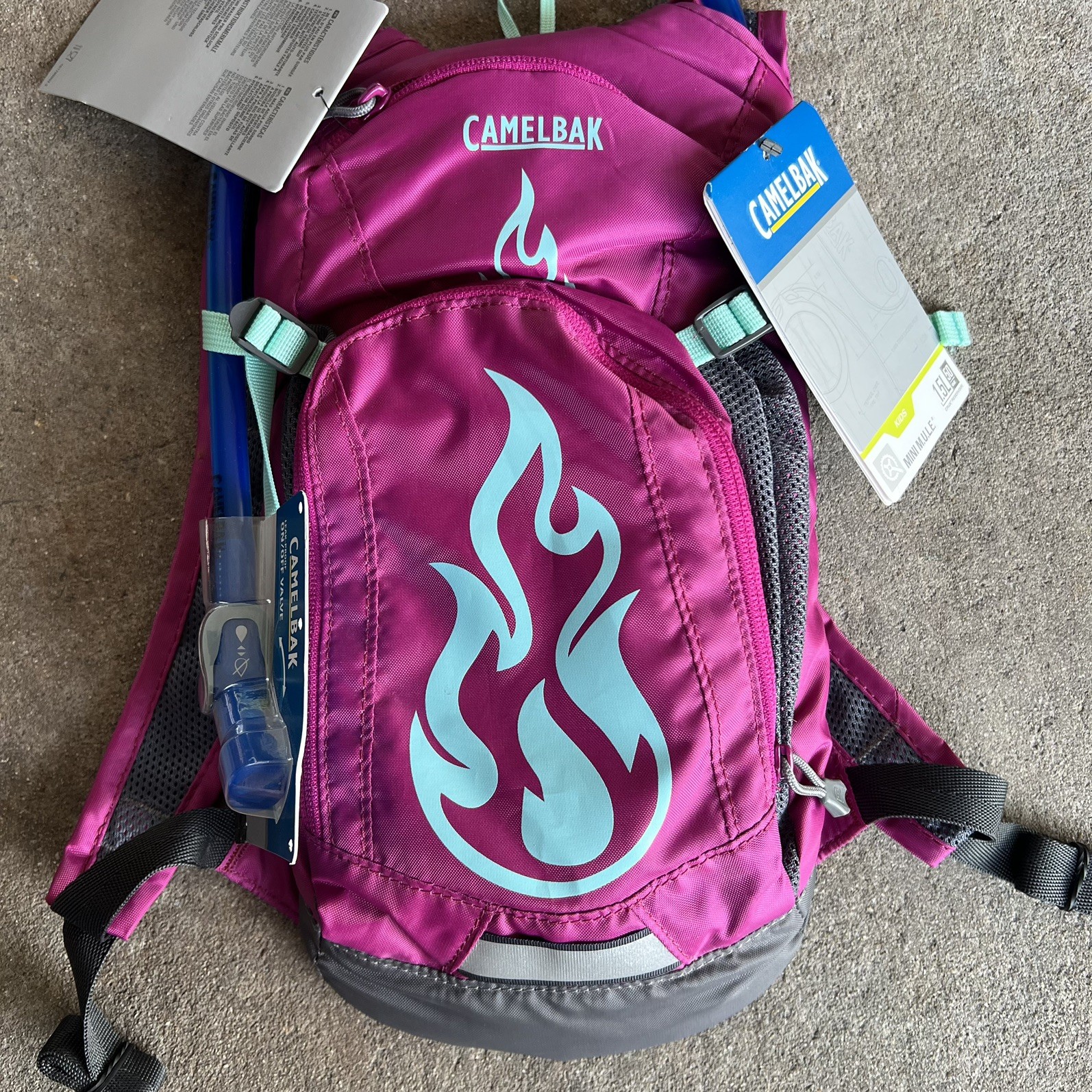 CamelBak Mini M.U.L.E. Kids Hydration Backpack, 50 oz, Purple #032