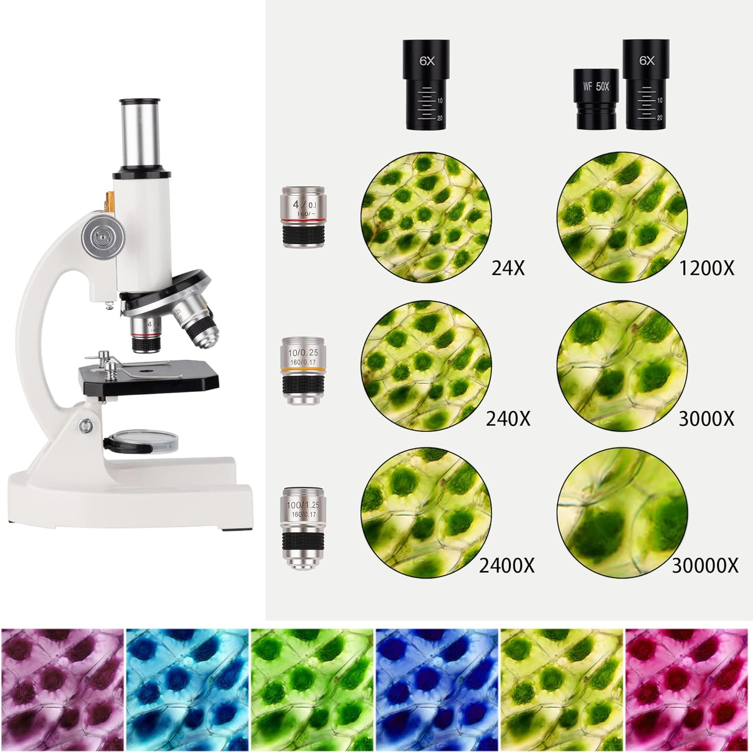Compound Monocular Microscope 200X-5000X Magnification, Monocular Laboratory Mic