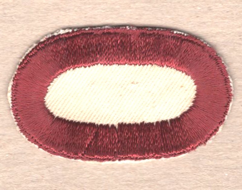 Army Airborne Oval Patch:  307th Medical Battalion - cut edge