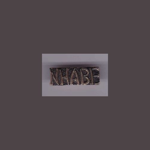 NHABE + a custom promo pin