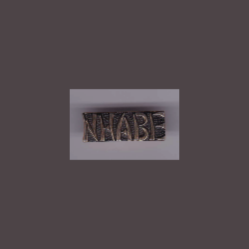 NHABE + a custom promo pin