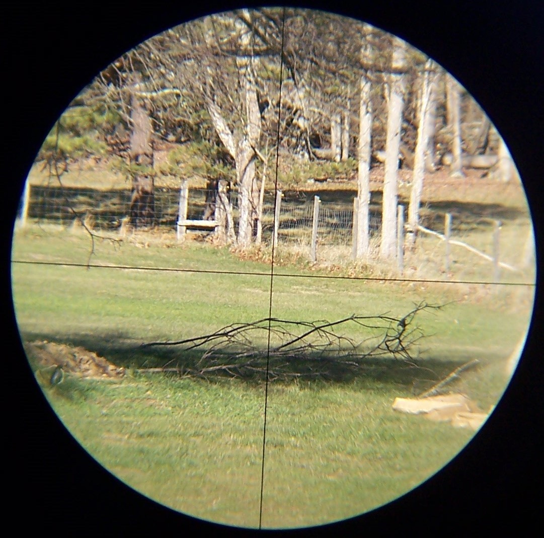 Bushnell ScopeChief 3x8x Twenty Two Rifle Scope ~Japan~ Gloss