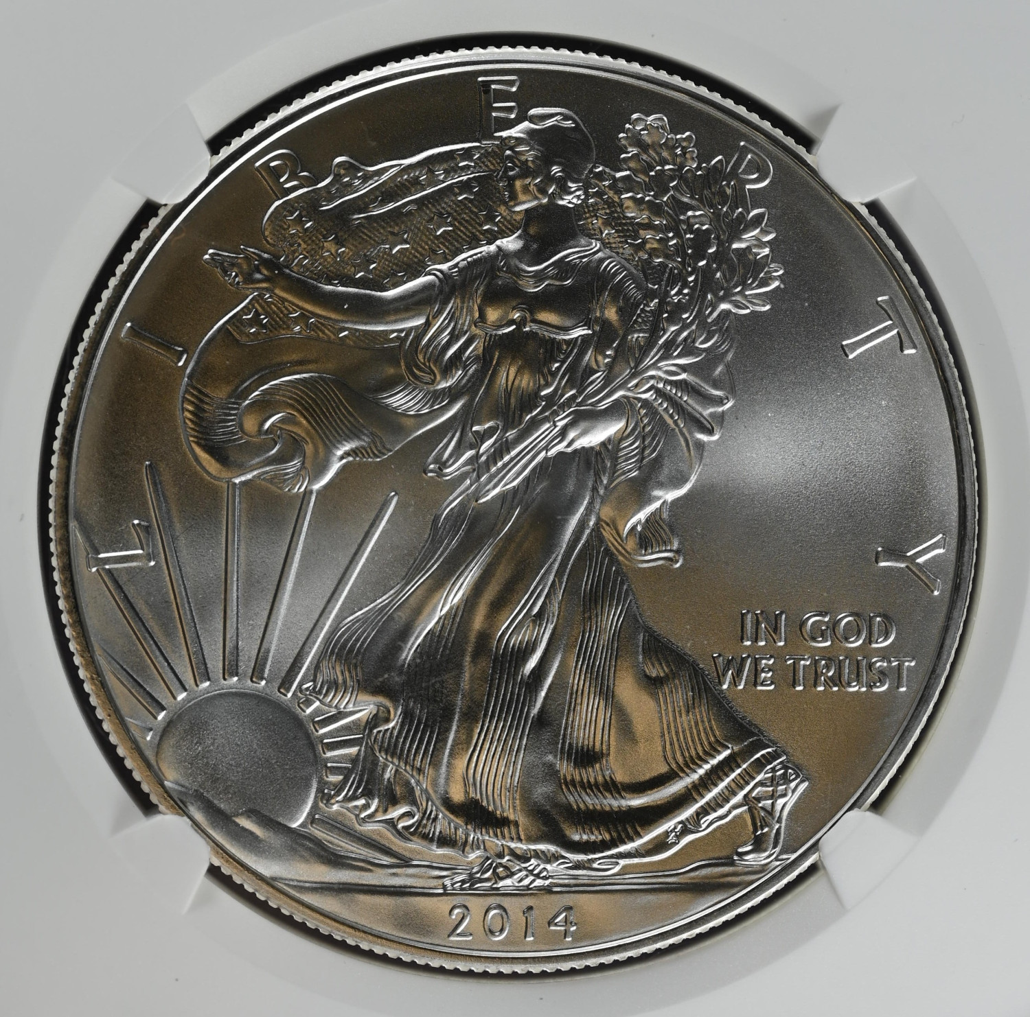 2014 Bullion Silver Eagles NGC MS-69