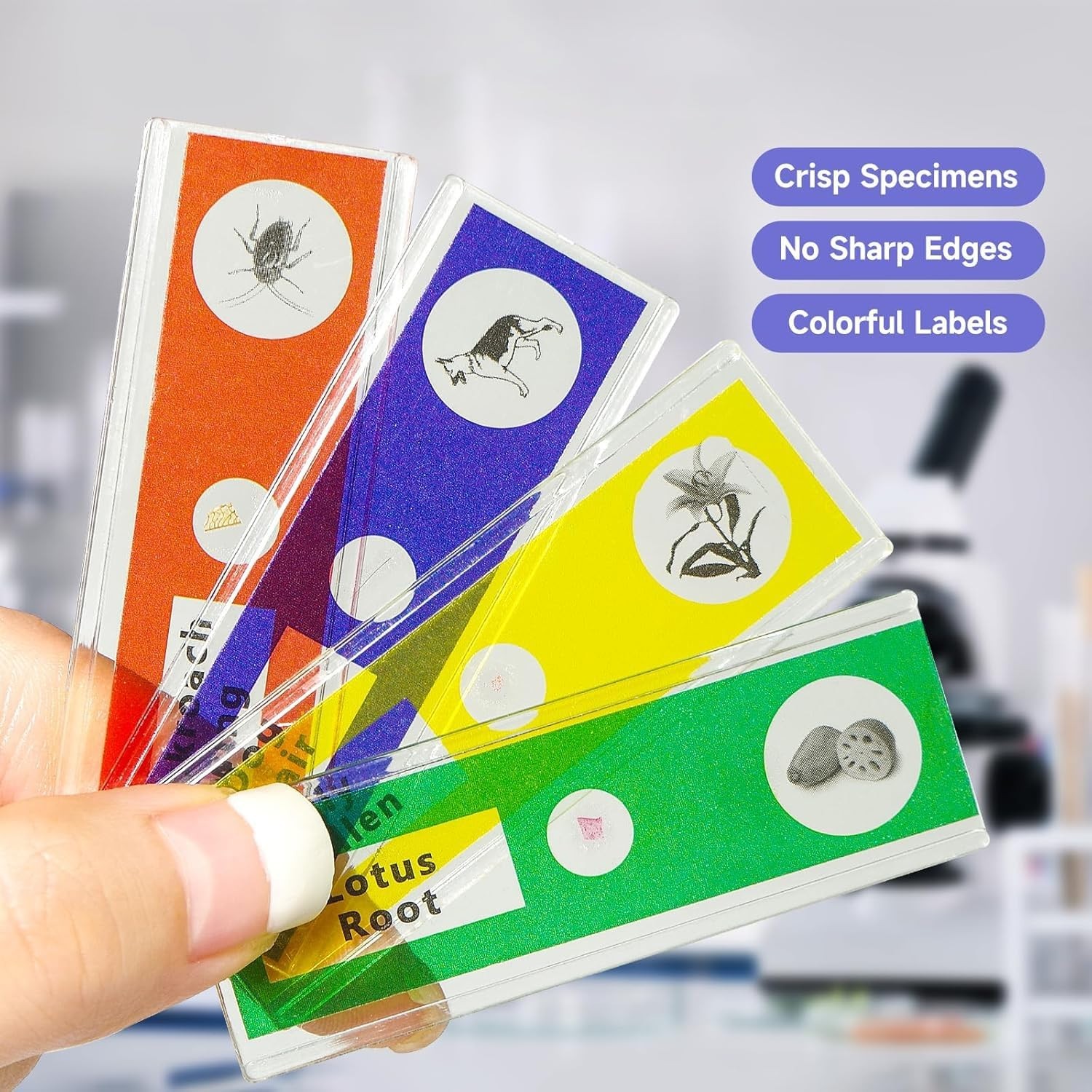 48Pcs Prepared Microscope Slides Specimen Animals Insects Plants Flowers Sample