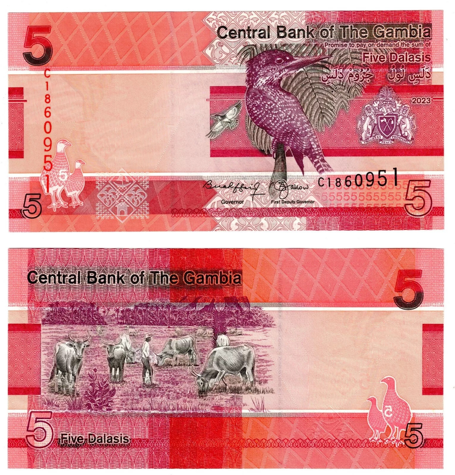 GAMBIA 5 DALASIS 2023 UNC C,GIANT KINGFISHER,COAT OF ARMS OF THE GAMBIA AT RIGHT