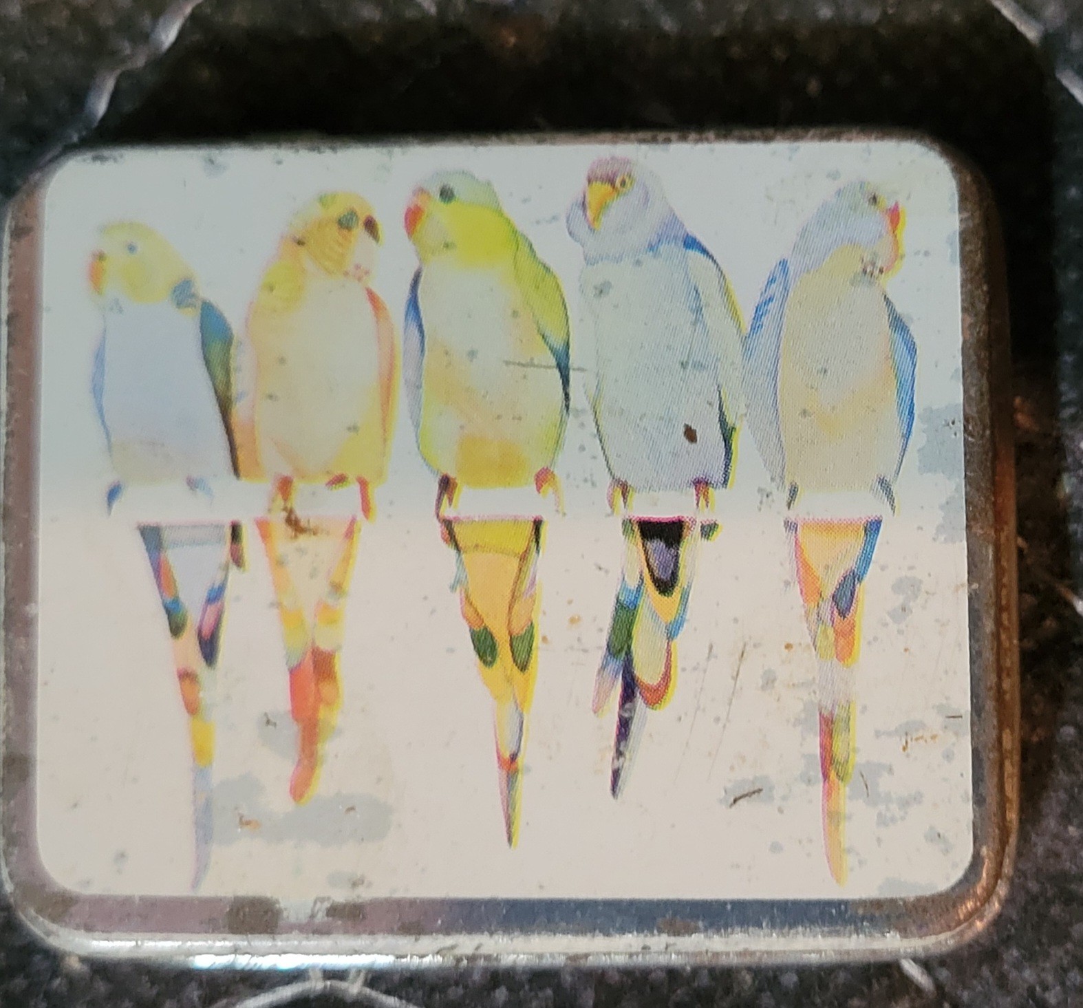 Vintage Parrot Pill Box Trinket Metal Box