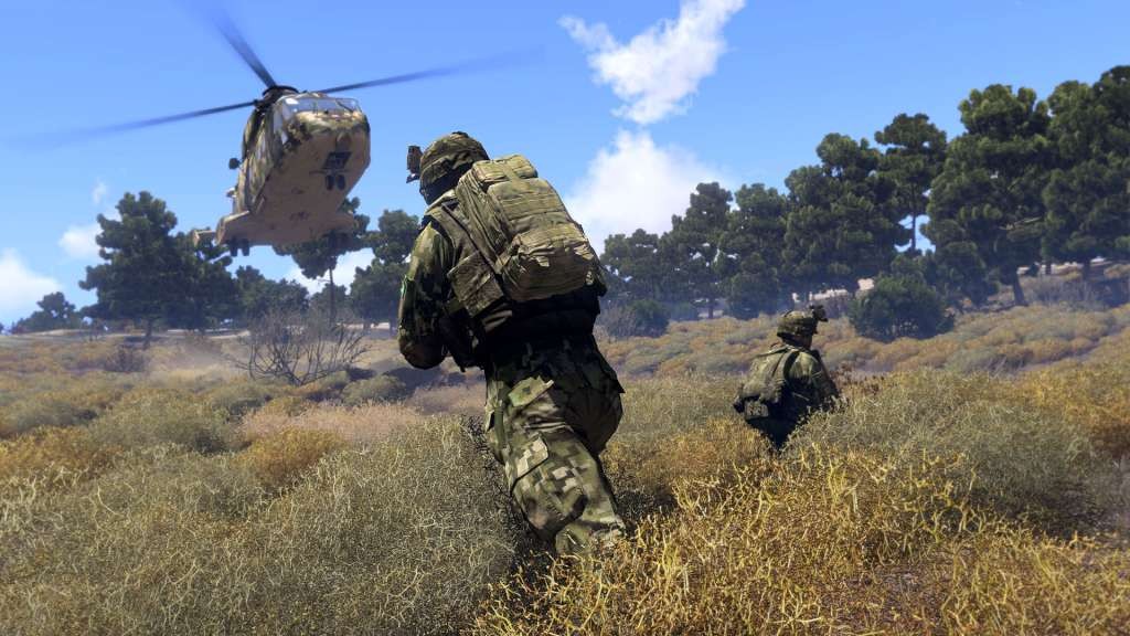 Arma 3 (NO CD/DVD)