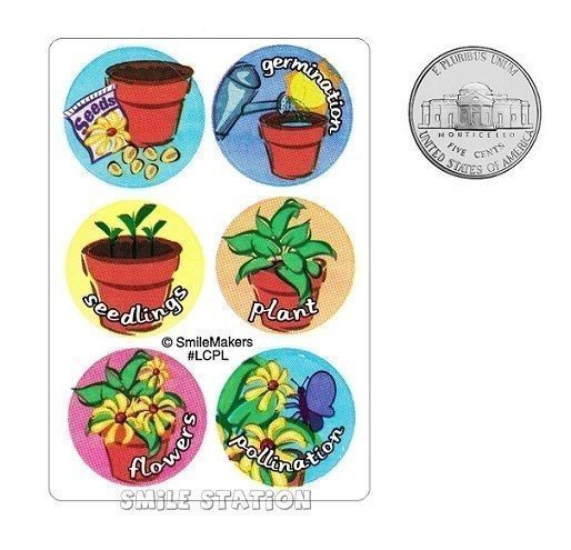 60 Plant Life Cycle Stage Metamorphosis Dot Stickers Teacher Student Supply