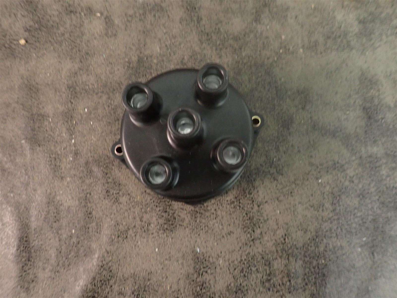 NEW WVE 5D1201 Distributor Cap (G219)