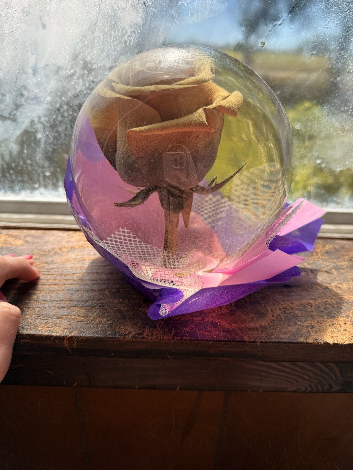 Rose In A Globe