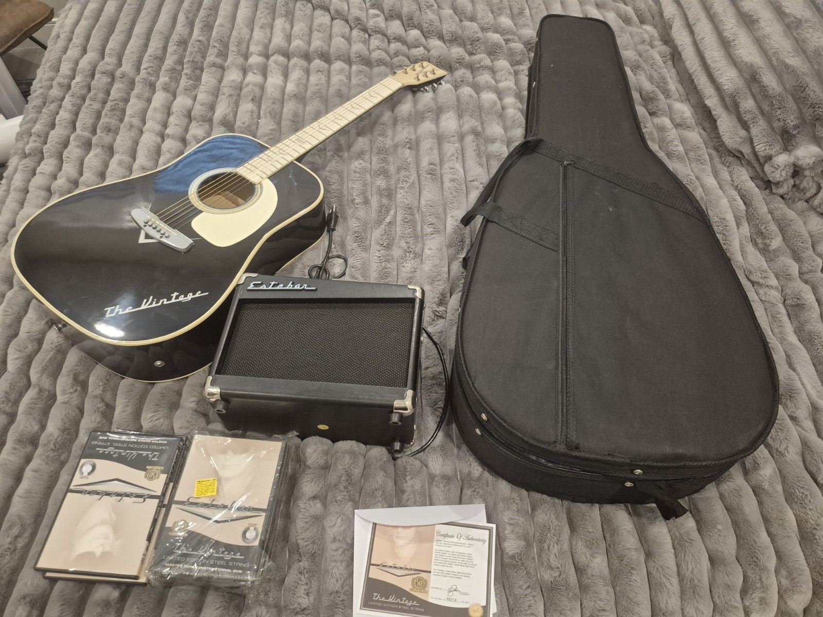 Esteban Eldorado Edition Acoustic Electric Guitar  W/accesories