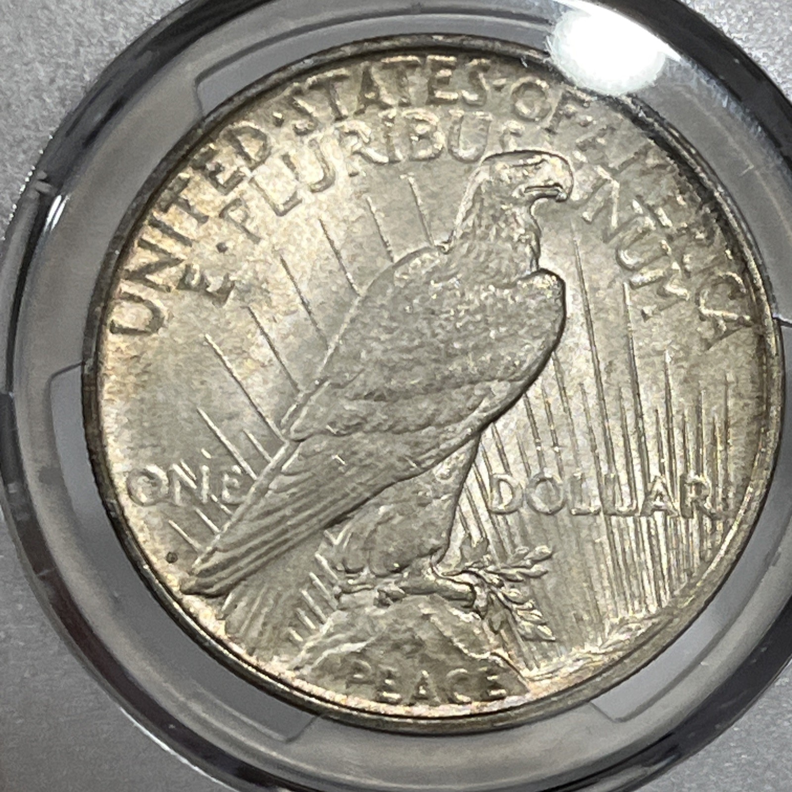 1923-D P Peace Silver Dollar PCGS MS62 Strong Luster