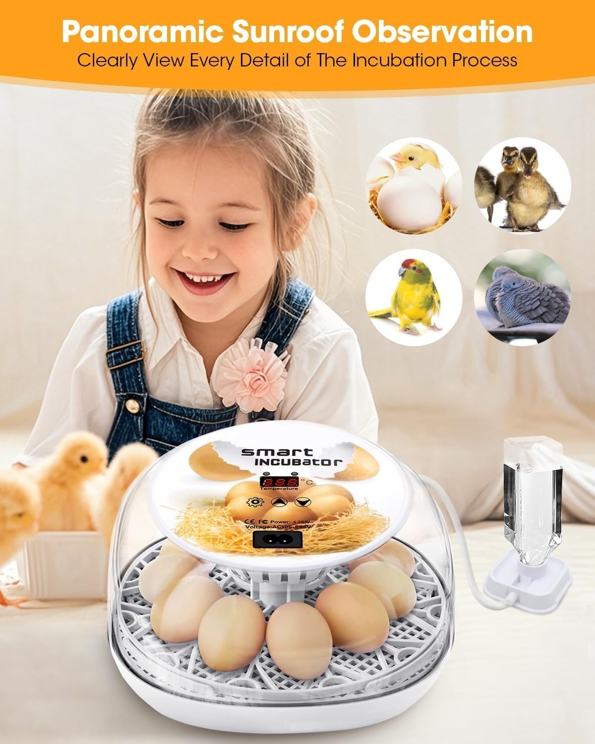Incubators for Hatching Eggs, Chicken Waterer Cups, Automatic Egg Turner Hold...