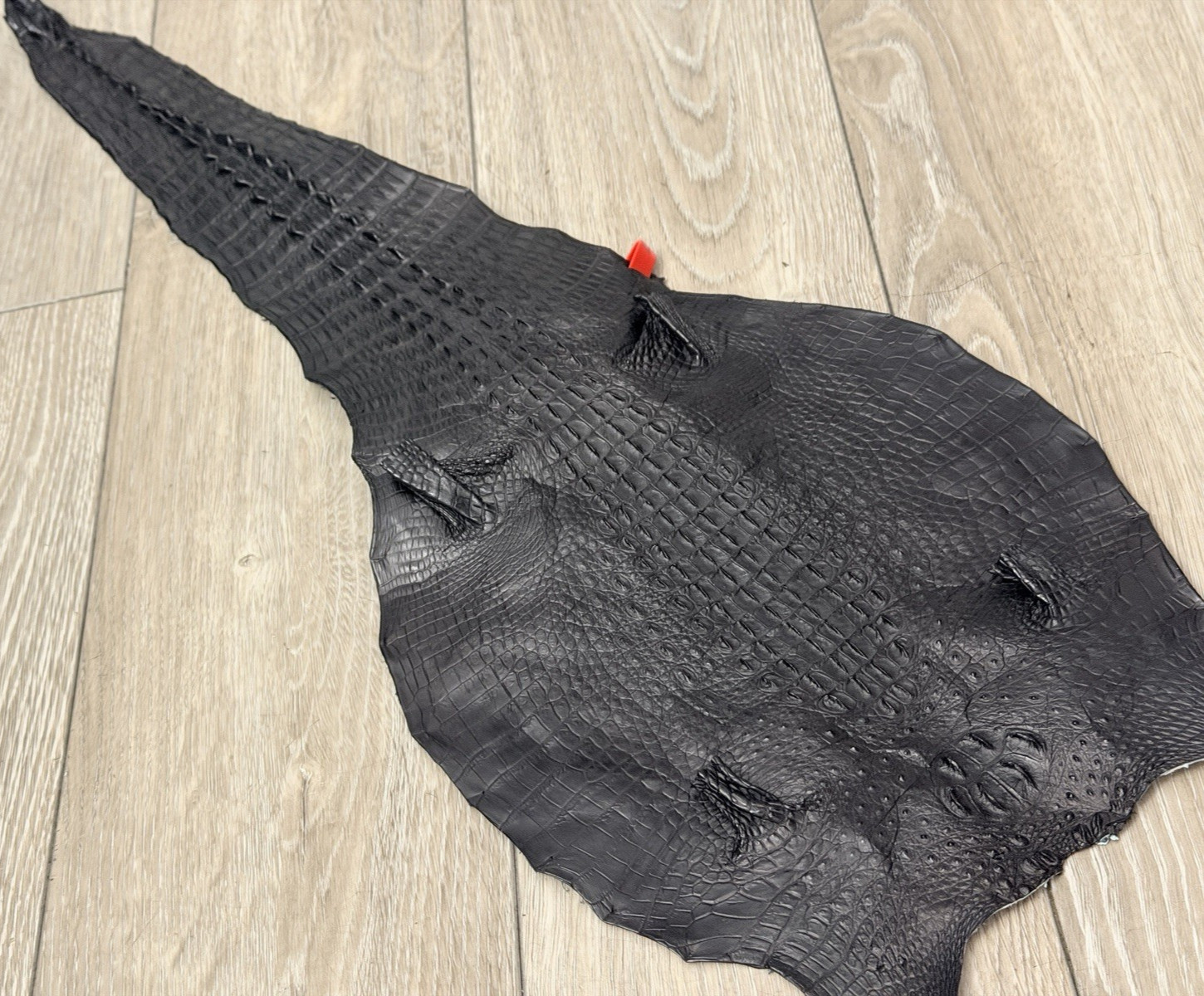 Black Genuine Nile Crocodile Hide HornBack Leather Skin real alligator croc 1231