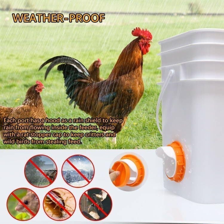 Efficient No Waste Chicken Feeder | 6 Pack with Waterproof Covers & Accessories