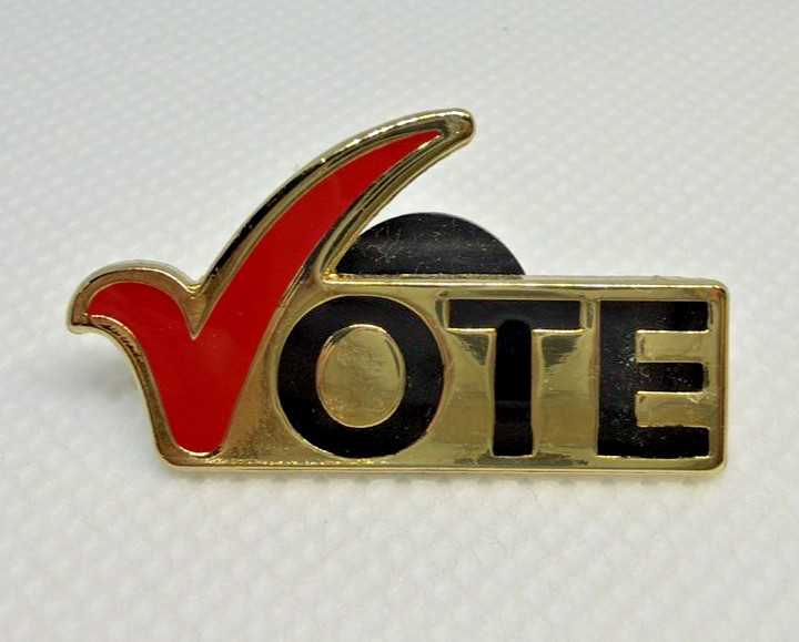 Comal County Texas Poll Worker Lapel Pin VOTE Enamel Badge New Braunfels TX