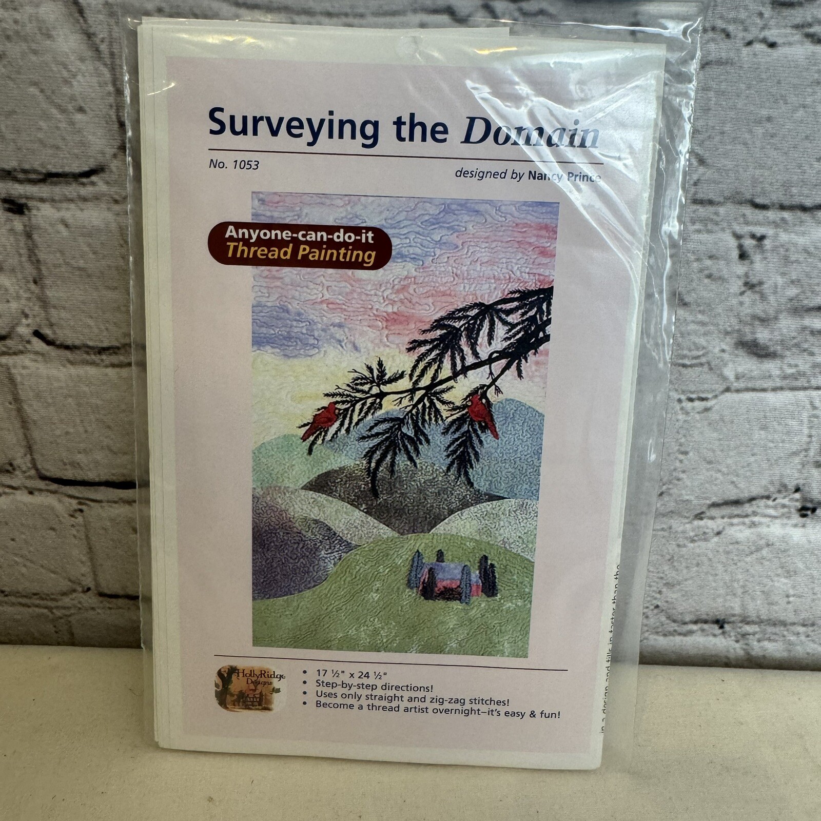 Surveying the Domain Quilt Wall Hanging Pattern Nancy Prince 17x24 2002