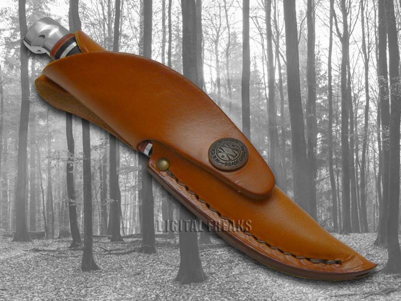 Case xx Small Fixed Blade Hunter Knife Polished Leather Handle 00379