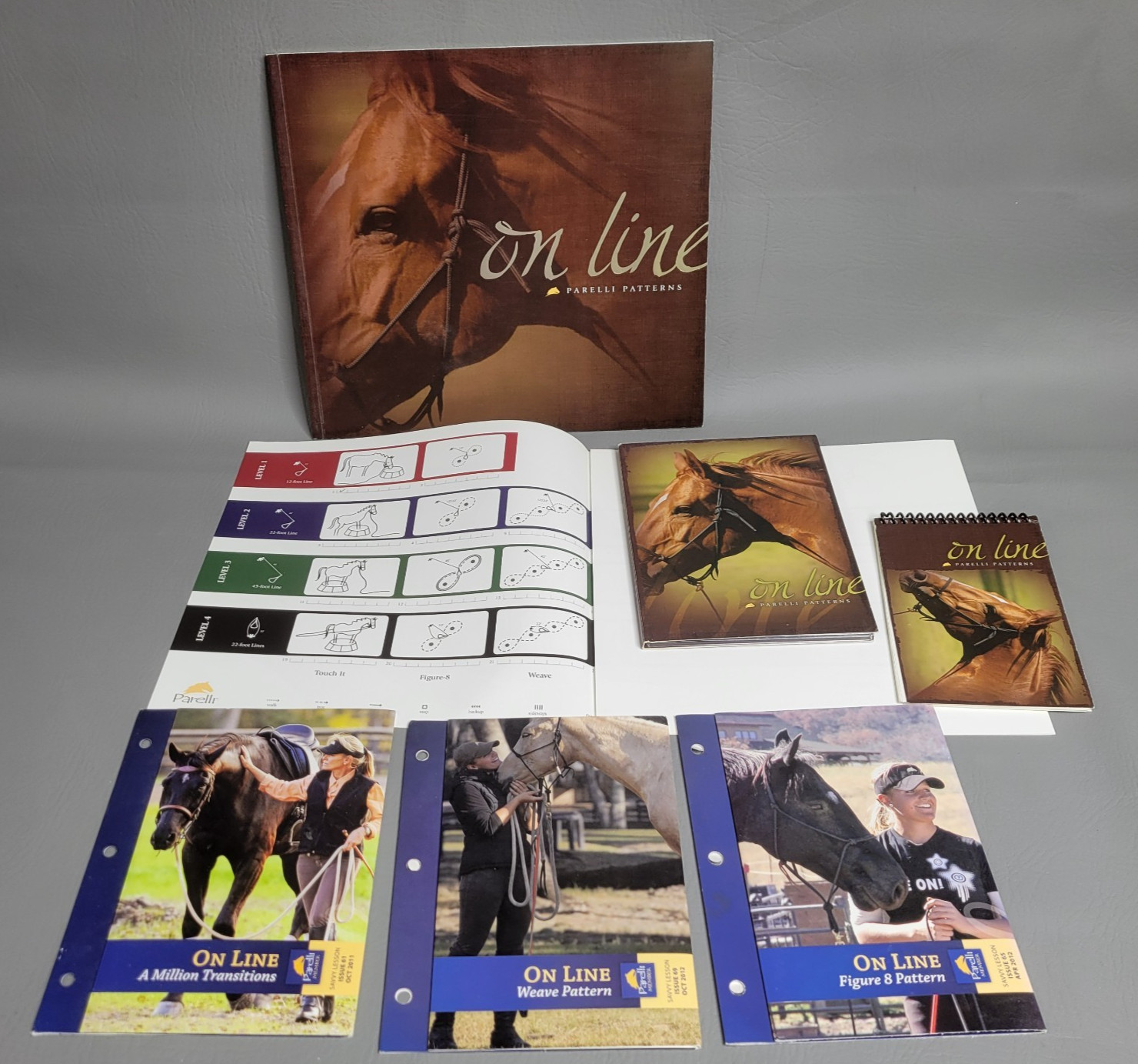 On Line Parelli Patterns - Natural Horsemanship Equine Training