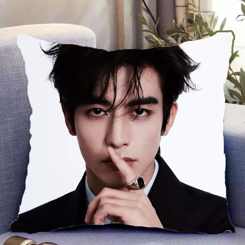 Song Weilong's double-sided pillow photo with the same style cushion No padding