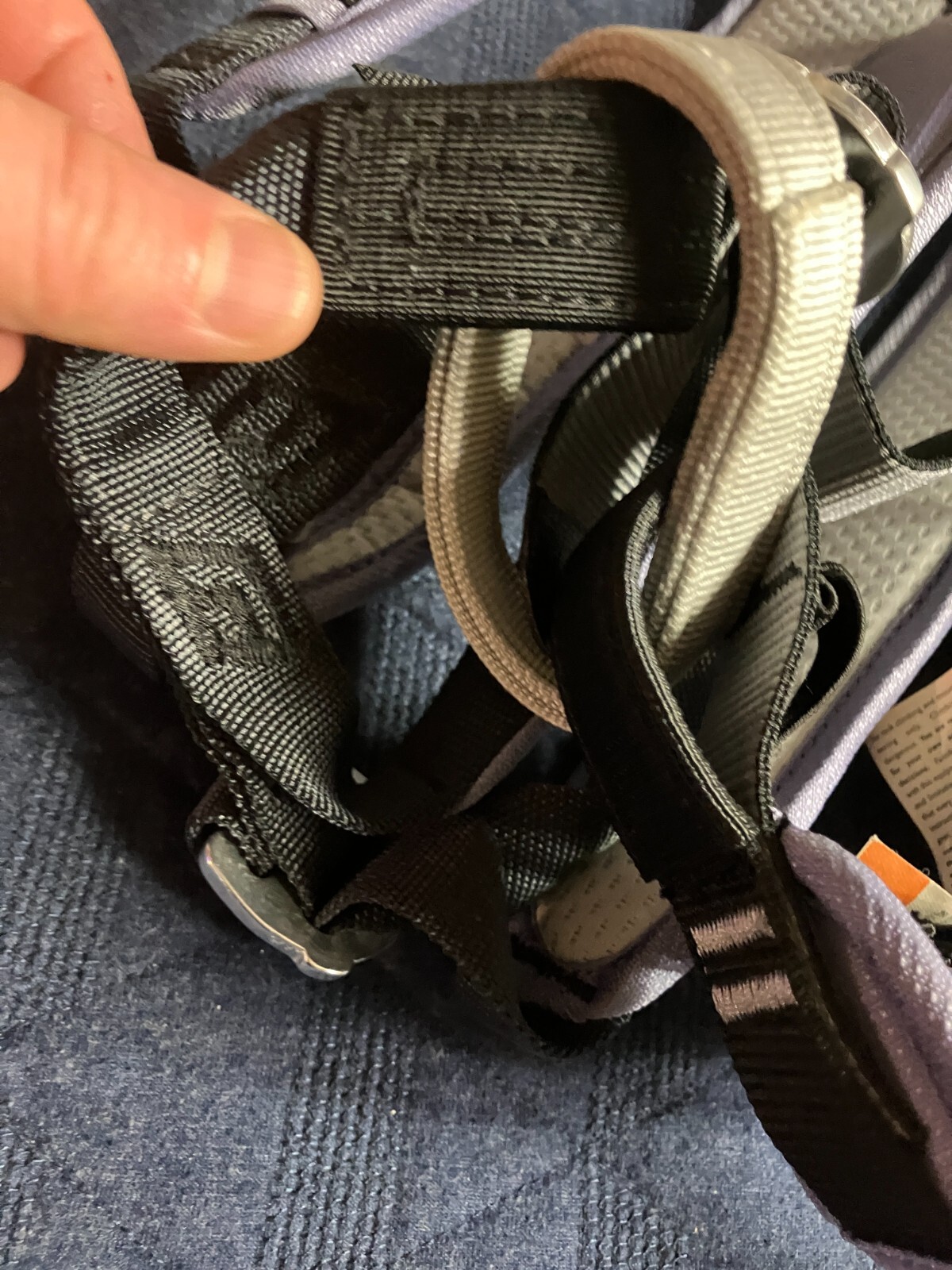 Black Diamond Climbing Harness Lavender Brand New w/ Tags