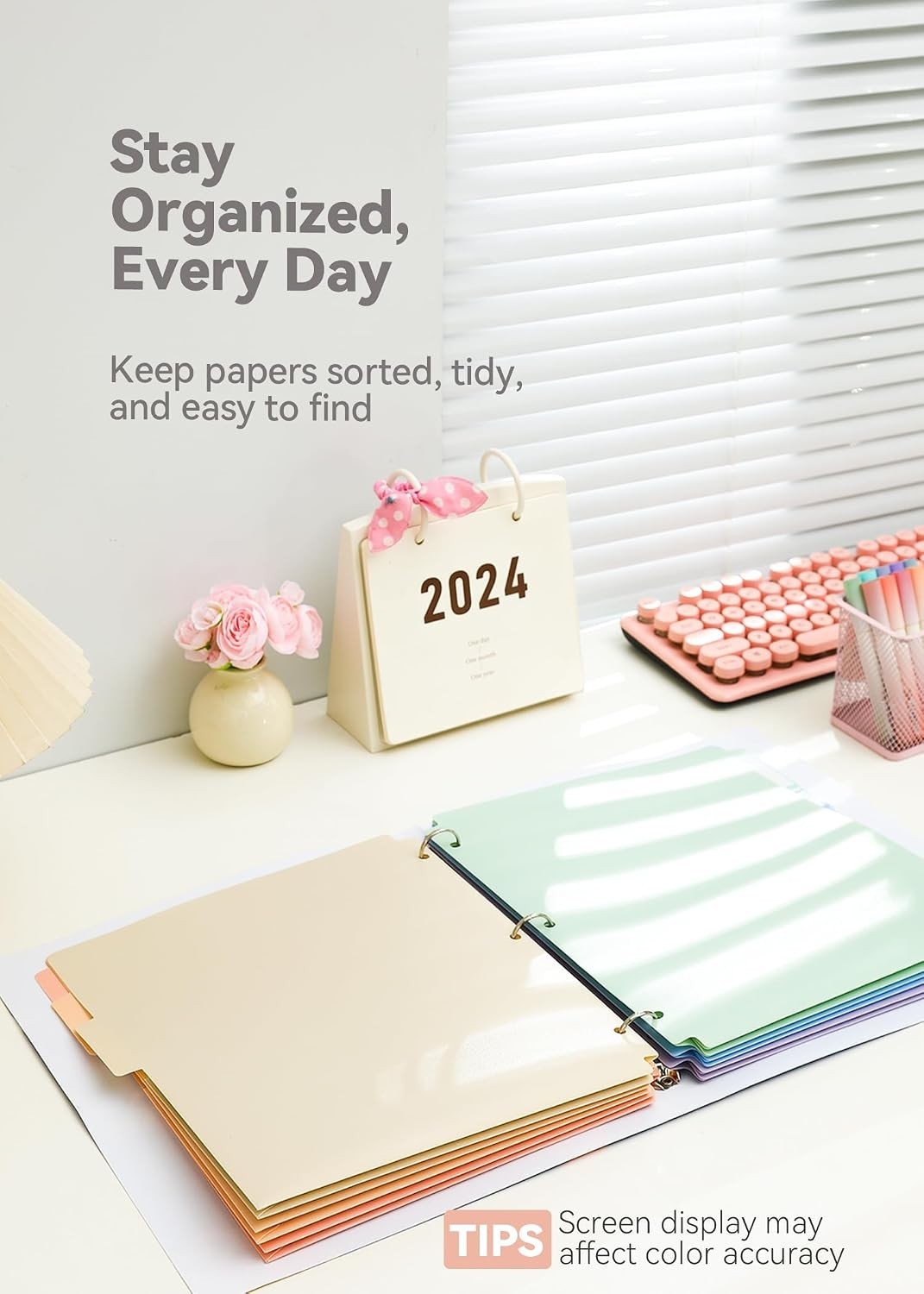 6-Pack Pastel Plastic Folders with 1/3 Cut Index Tabs for Quick Document Access
