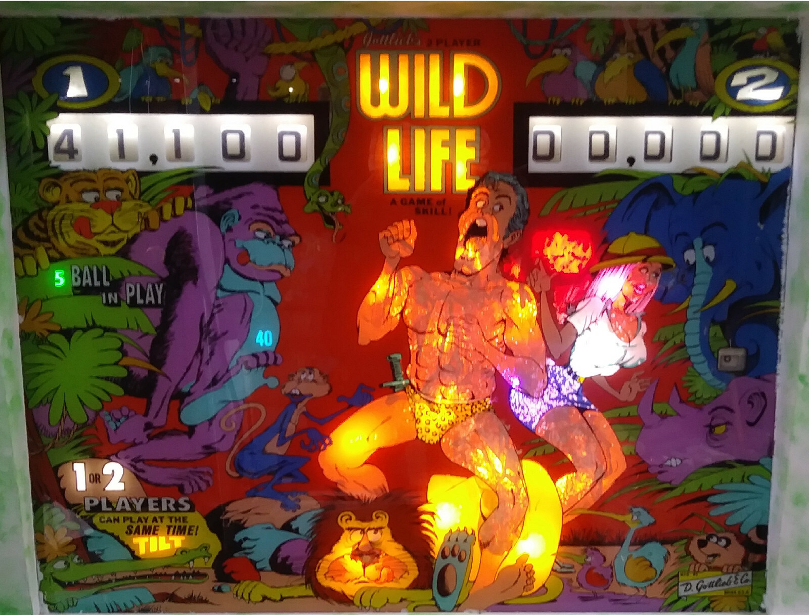 WILD LIFE - NON GHOSTING LED Lighting Kit custom SUPER BRIGHT PINBALL KIT