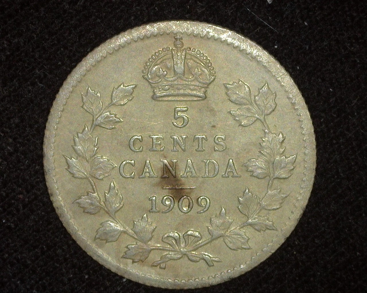 CANADA 1909 POINTED LEAVES 5 CENTS SILVER KM13 ABOUT UNCIRCULATED CLEANED ~C8