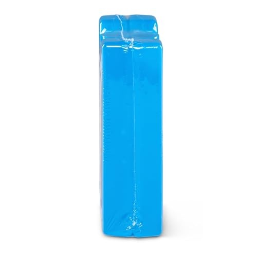 Maxcold Ice Block 2PK Small