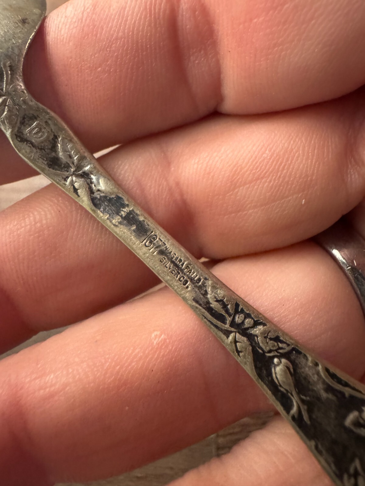 1877 Niagara Falls Silver Co. Silverplated Teaspoon Wild Rose Pattern