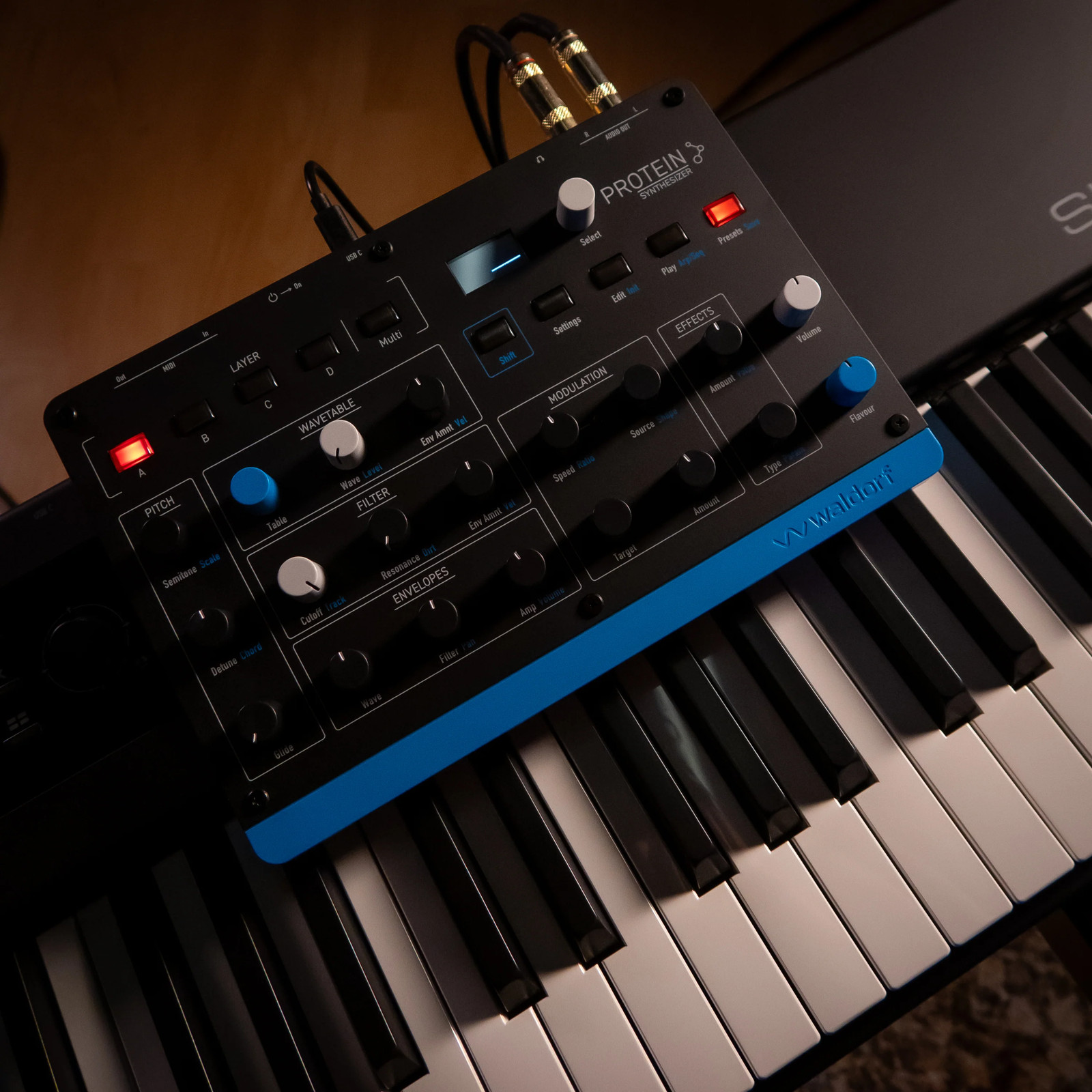Waldorf Protein 8-Voice Desktop Wavetable Synthesizer