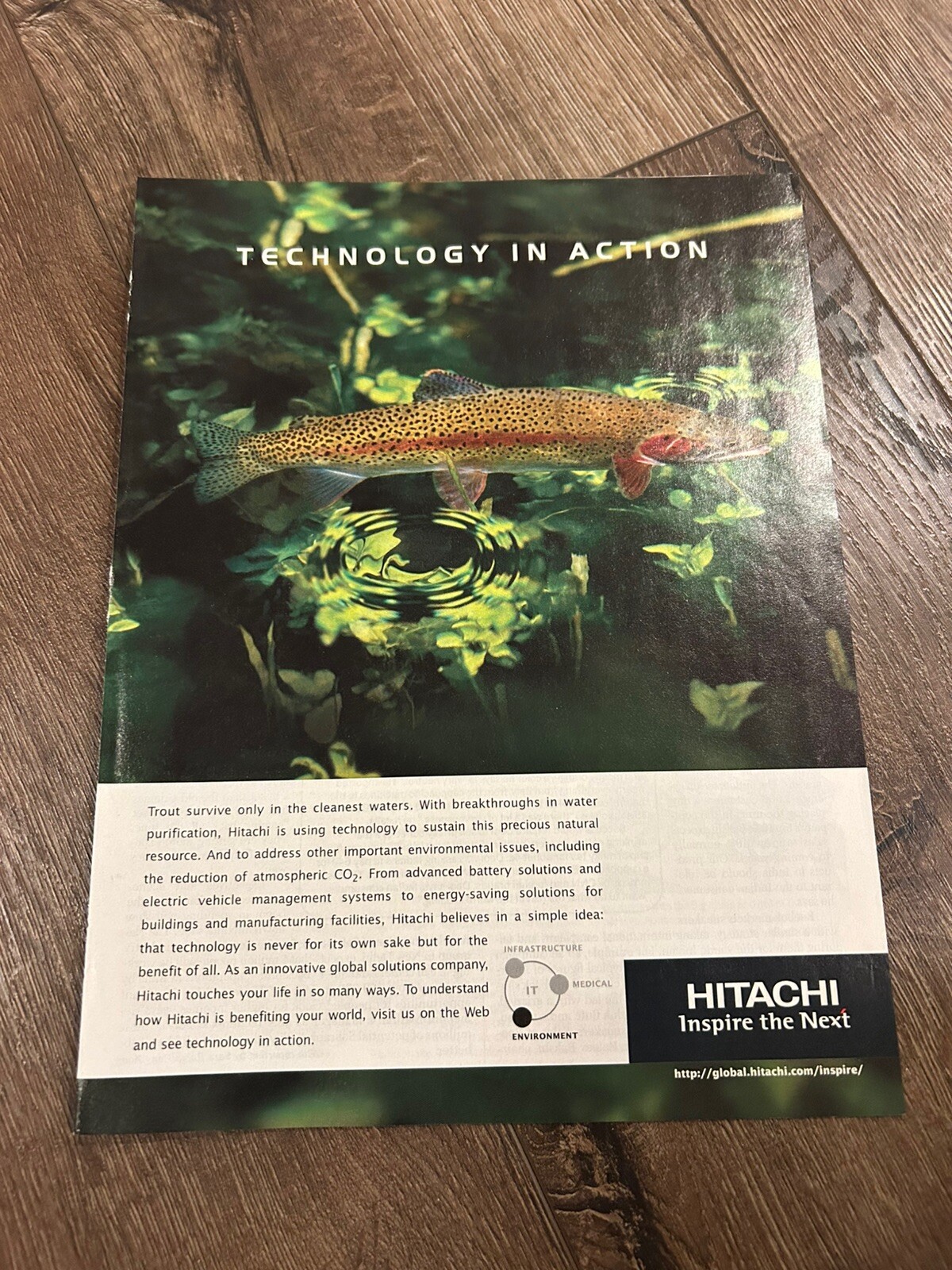Hitachi Trout Lake Fish Poster Print Ad Photo Clean Water Fishing