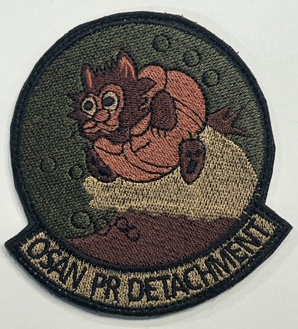 US AIR FORCE PATCH: 33rd Rescue Squadron CSAR PJ Pararescue Jolly Green HH-60W