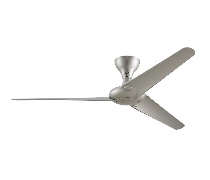 Fanimation 60 inch Indoor Outdoor Ceiling Fan - Silver Remote Control