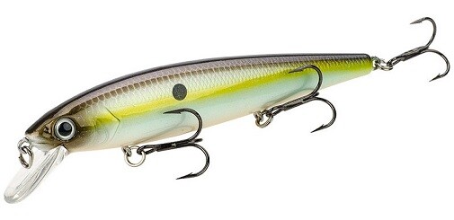 Strike King KVD Jerkbait 300- Summer Sexy Shad