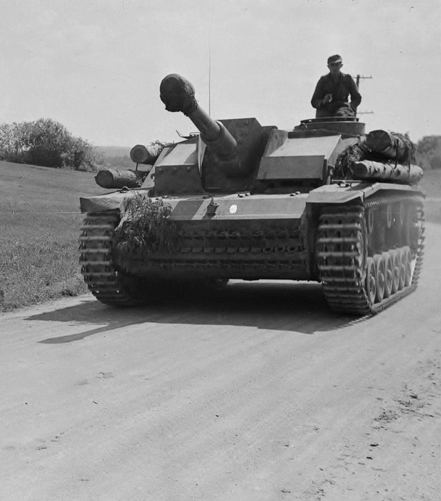 WW2 WWII Photo German StuG III Ausf. G Assault Gun Finland World War Two 4326