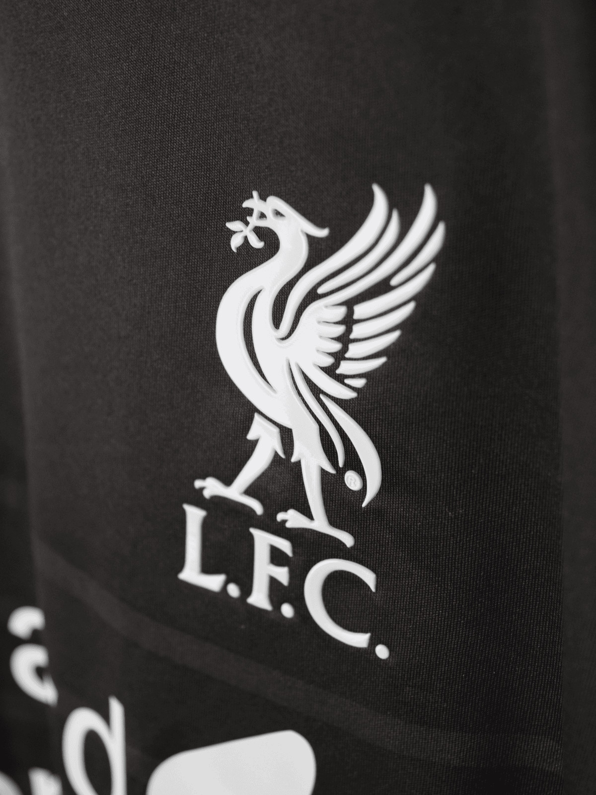 2015 Liverpool Third - Philippe Coutinho #10 Large