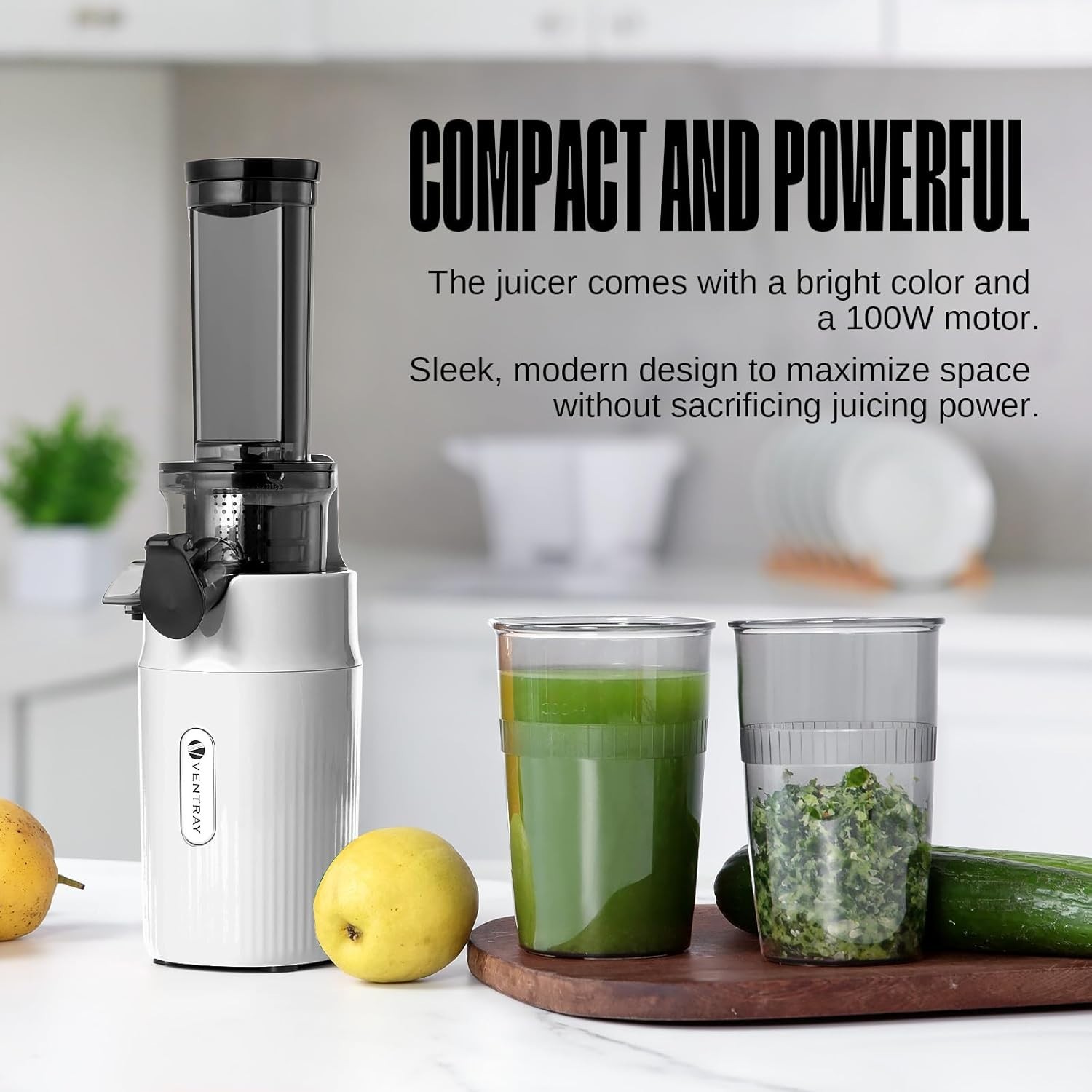 Efficient Ginnie Mini Juicer - Compact Masticating for Fresh Juices Anywhere