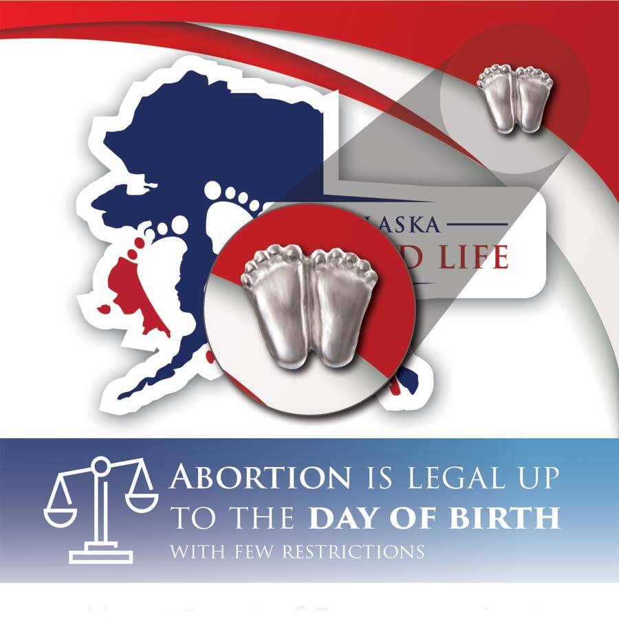 Precious Feet, Silver-Colored, Alaska Stats Card Jewelry, Lapel Pin