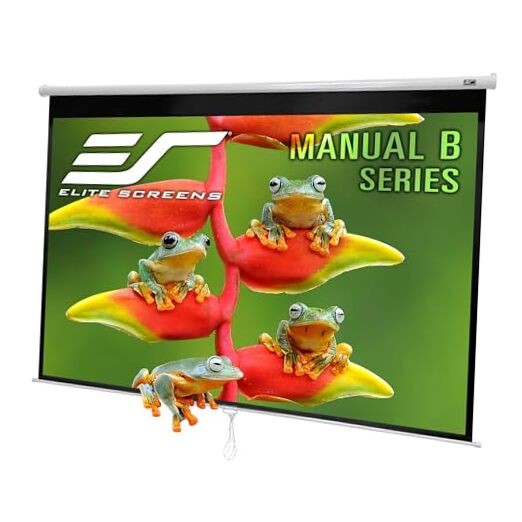 Manual B, 80-INCH Manual Pull Down 80 INCH Projector Screen White Case 16:9
