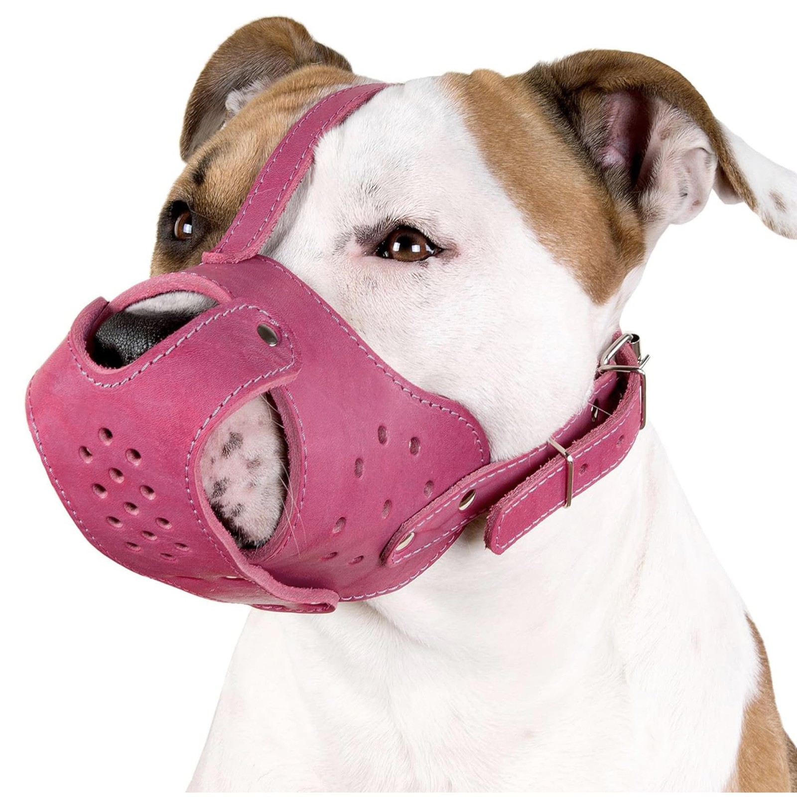 CollarDirect Dog Muzzle Pitbull Amstaff Basket 12" (31cm), Pink