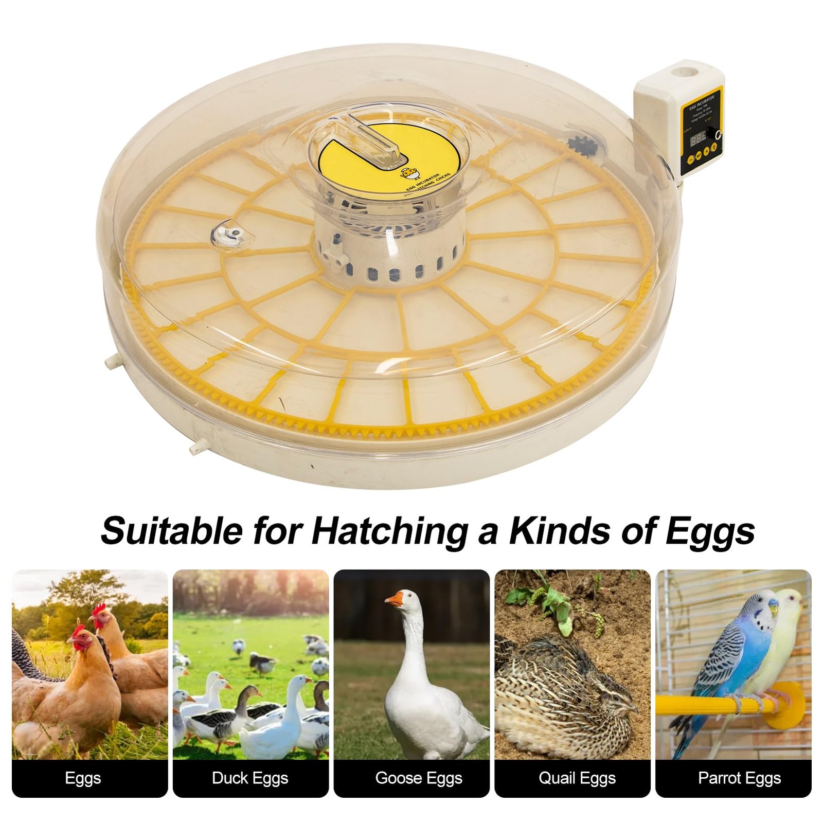 35 Eggs Incubator with Automatic Egg Turning Temperature Display Adjustable Whee