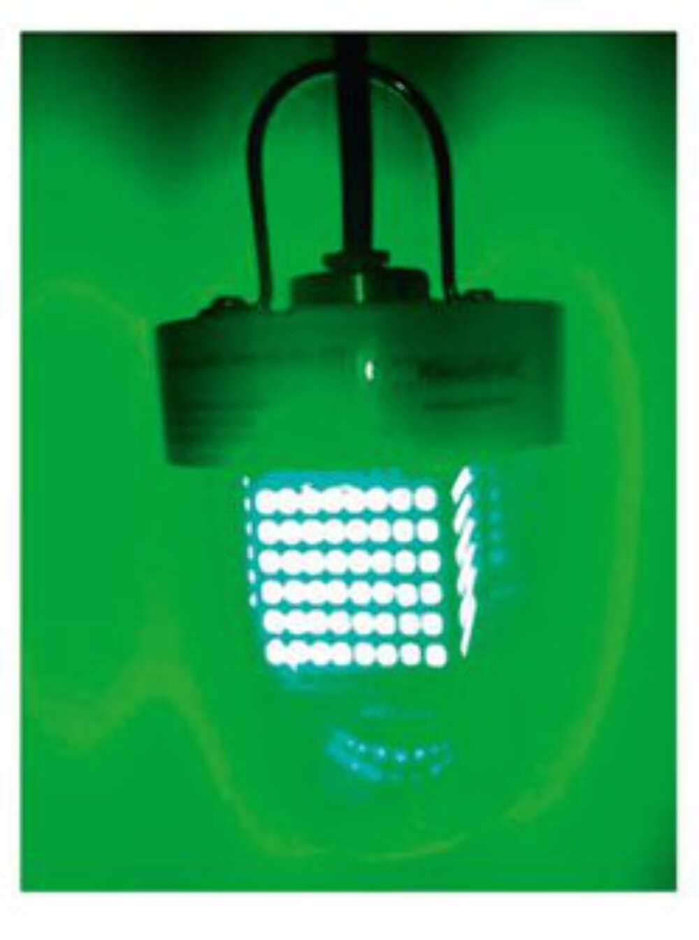 KeepAlive Fishing Green Lights