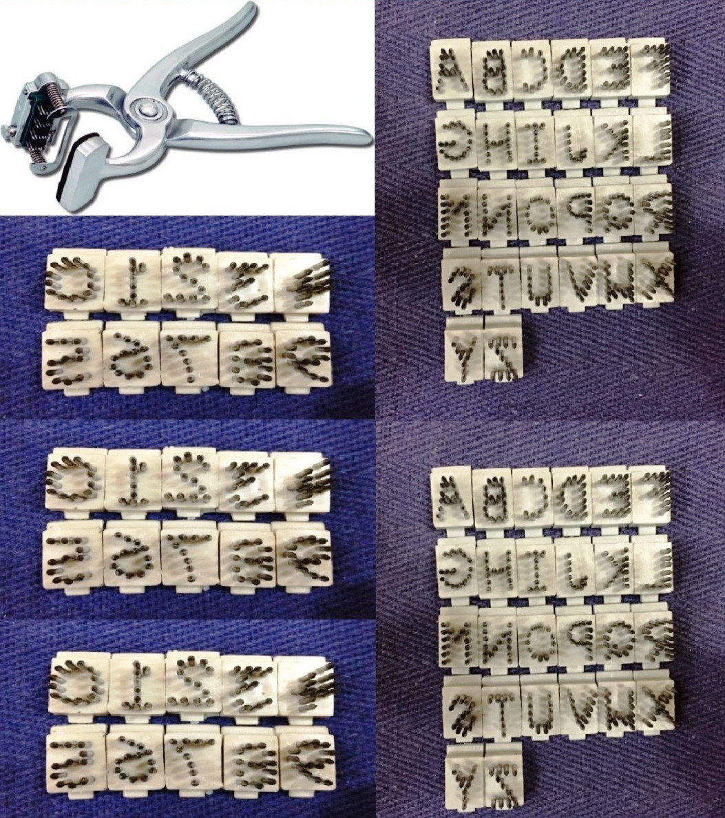 Standard Tattoo Plier with 3 Sets 0-9 Digits & 2 Sets A-Z Letters 3/8” - Cattle