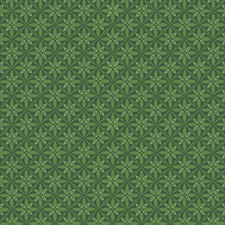 KimberBell Basics By Maywood Studio - Dark Green Tufted Star #9396-G2