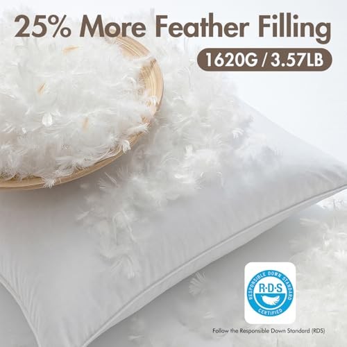 4x4 Euro Pillow Inserts, Pack of Down Feather Premium 24x24 Inch (Pack of 2) 2