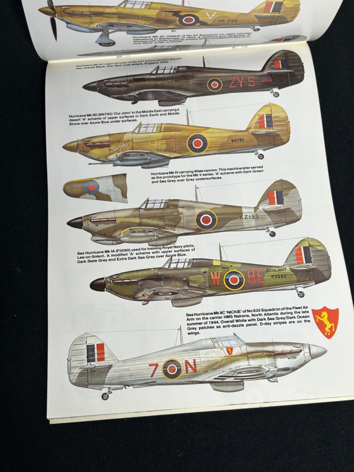 Hurricane In Action Book